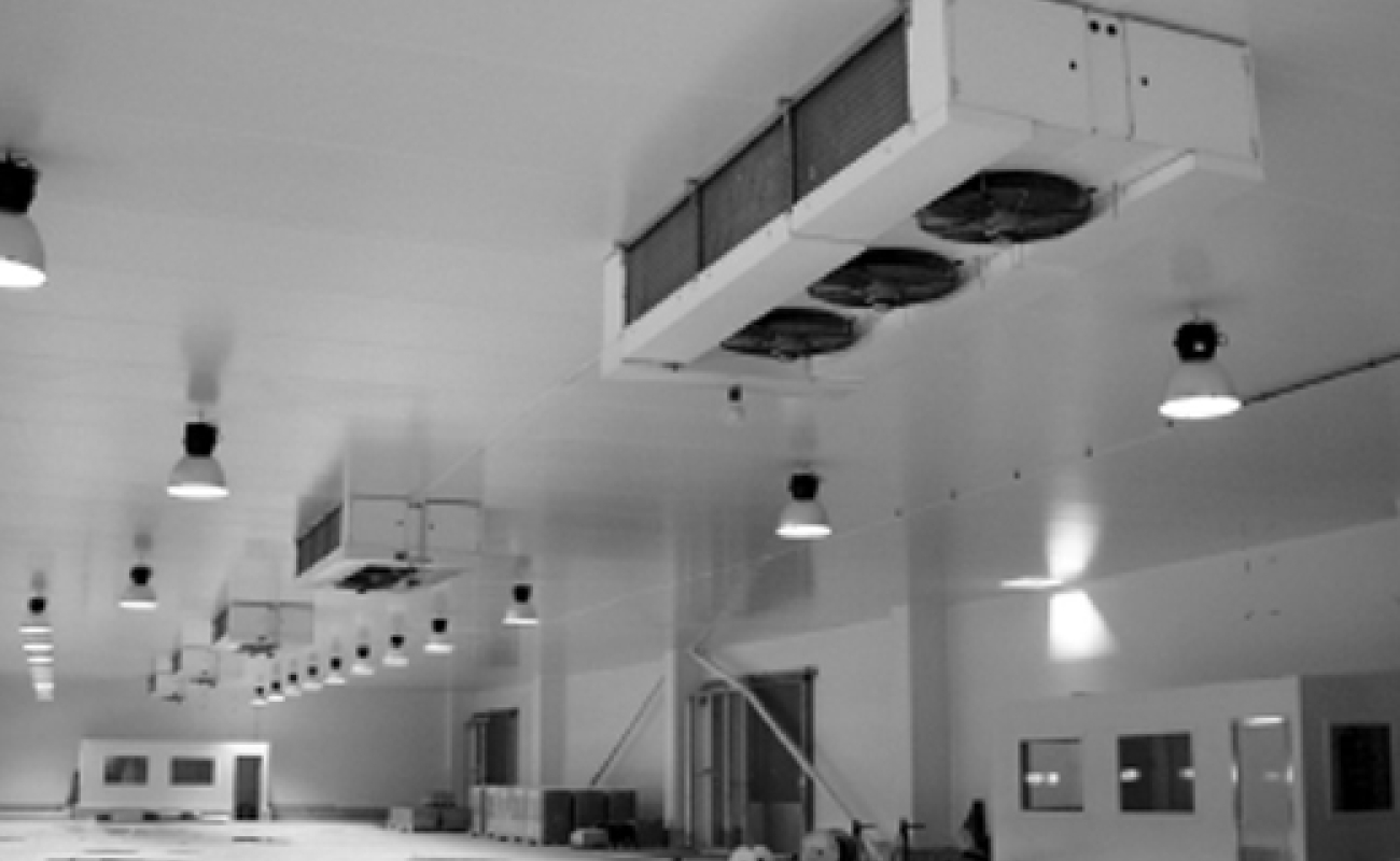 Relevage centralisé  des condensats d’une installation frigorifique