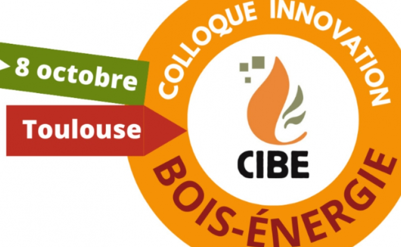 Colloque CIBE