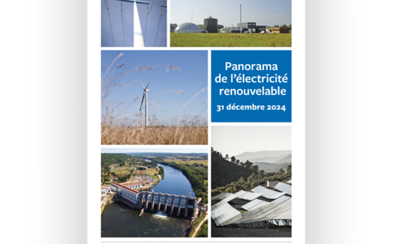 Panorama EnR électriques