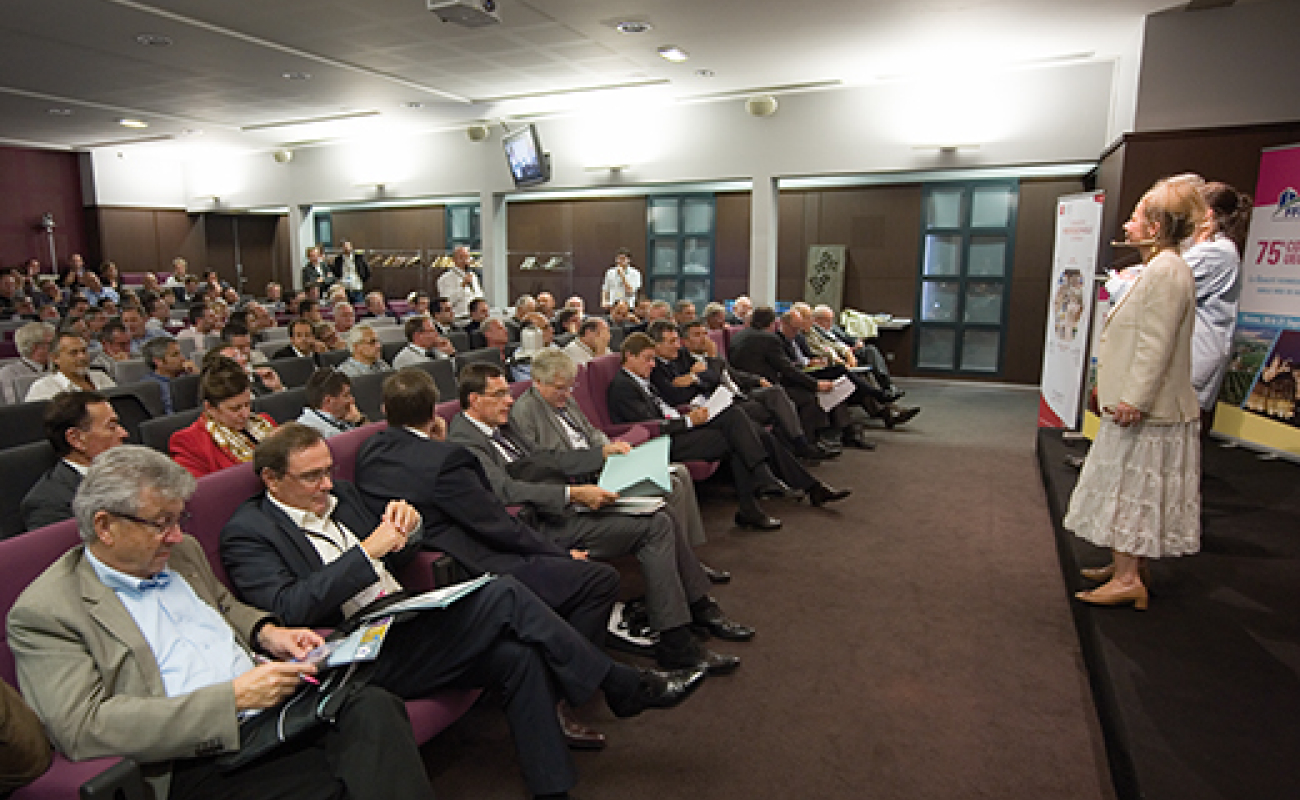 Congrès UECF 2013 à Reims : la qualité en question
